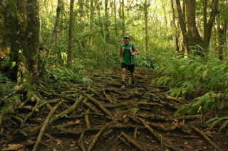 Photo by Rob Lahoe, Scot flying over the roots in Pauoa flats