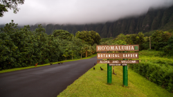 Ho'omaluhia Botanical Garden