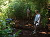 Much Improved Manoa Cliffs Trail