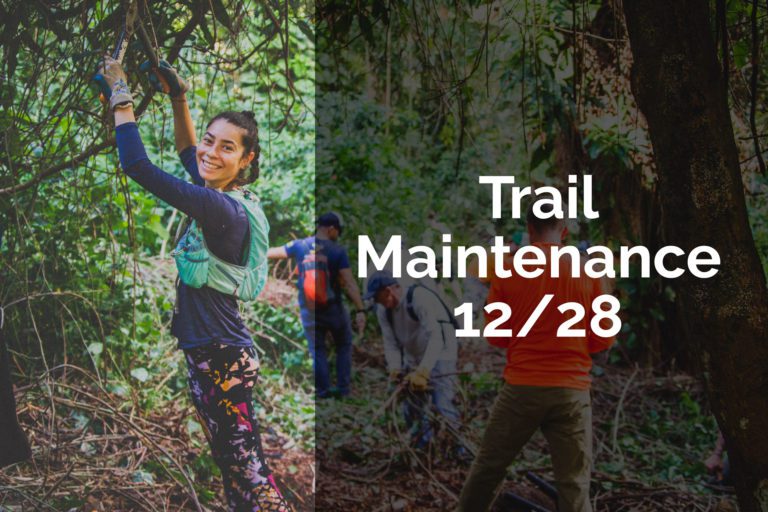 Trail Maintenance, 12/28